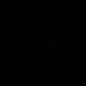 Meet your Posher, Ally